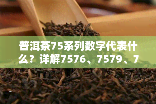 普洱茶75系列数字代表什么？详解7576、7579、7571、7574和7572的意思