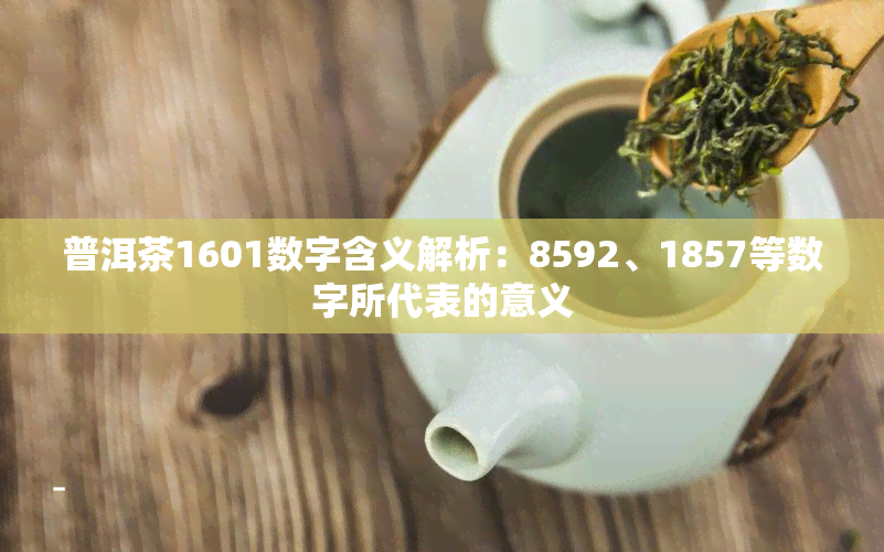 普洱茶1601数字含义解析：8592、1857等数字所代表的意义