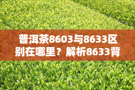 普洱茶8603与8633区别在哪里？解析8633背后的故事