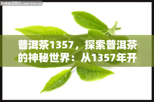 普洱茶1357，探索普洱茶的神秘世界：从1357年开始的品味之旅