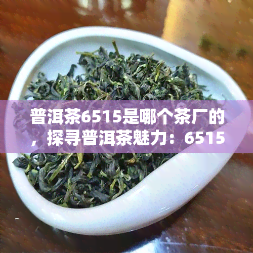 普洱茶6515是哪个茶厂的，探寻普洱茶魅力：6515背后究竟隐藏着哪个茶厂的秘密？