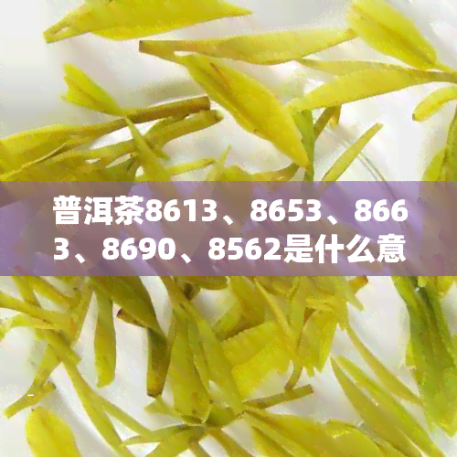 普洱茶8613、8653、8663、8690、8562是什么意思？