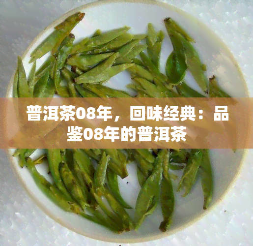 普洱茶08年，回味经典：品鉴08年的普洱茶