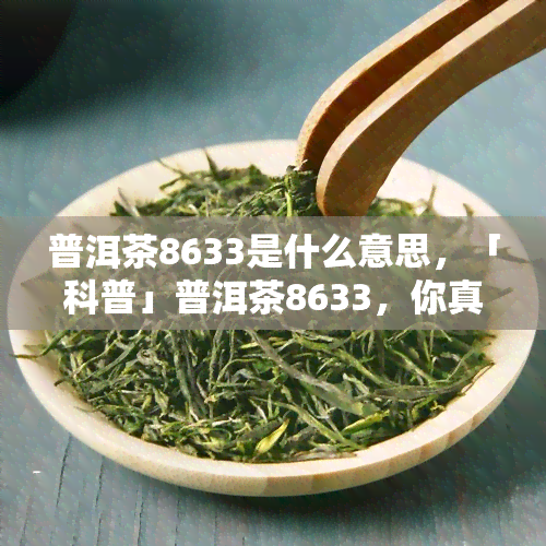 普洱茶8633是什么意思，「科普」普洱茶8633，你真的了解它的含义吗？