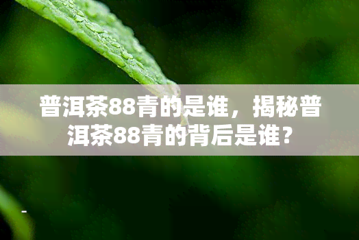 普洱茶88青的是谁，揭秘普洱茶88青的背后是谁？