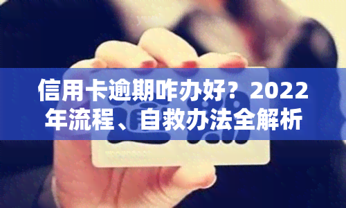 信用卡逾期咋办好？2022年流程、自救办法全解析