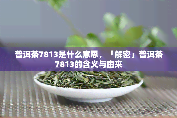 普洱茶7813是什么意思，「解密」普洱茶7813的含义与由来