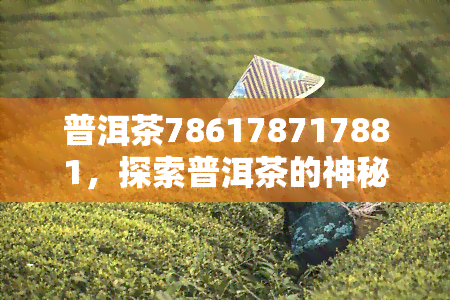 普洱茶786178717881，探索普洱茶的神秘世界：从786到881的口感变化