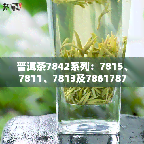 普洱茶7842系列：7815、7811、7813及786178717881的含义解析