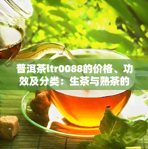 普洱茶ltr0088的价格、功效及分类：生茶与熟茶的区别与推荐