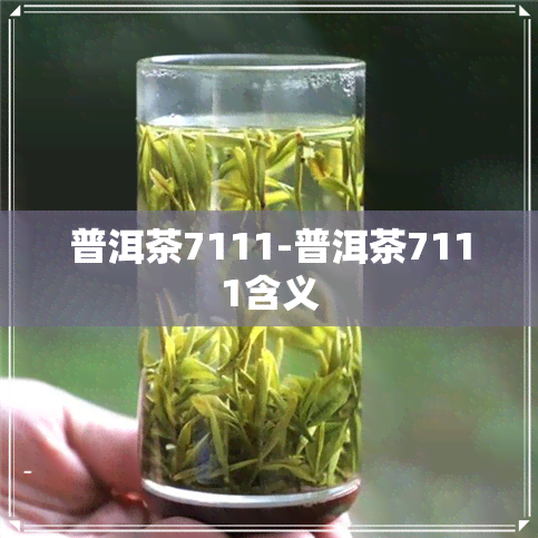 普洱茶7111-普洱茶7111含义