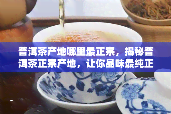 普洱茶产地哪里最正宗，揭秘普洱茶正宗产地，让你品味最纯正的普洱茶！