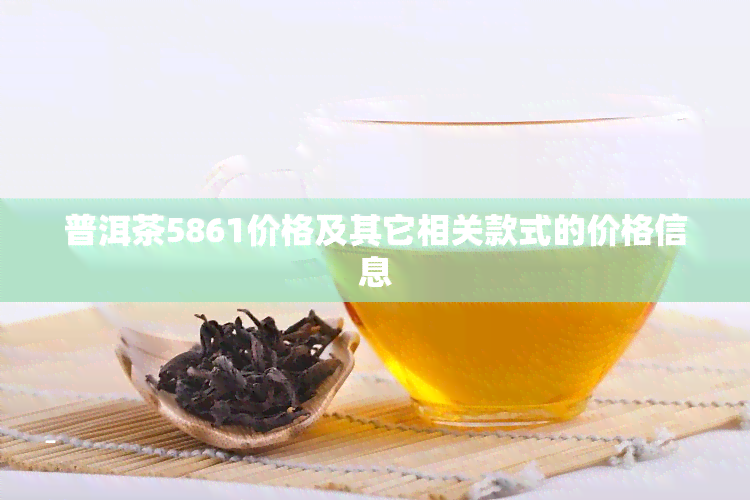 普洱茶5861价格及其它相关款式的价格信息