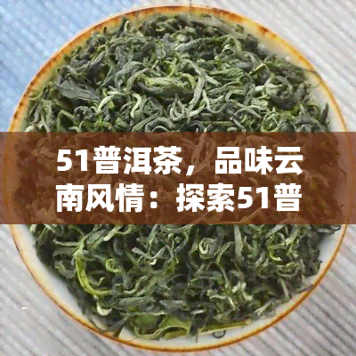 51普洱茶，品味云南风情：探索51普洱茶的世界