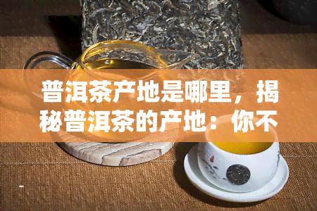 普洱茶产地是哪里，揭秘普洱茶的产地：你不知道的事实