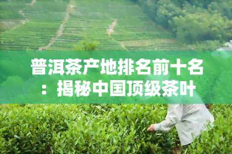 普洱茶产地排名前十名：揭秘中国顶级茶叶