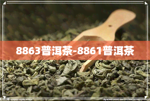 8863普洱茶-8861普洱茶