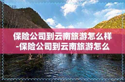 保险公司到云南旅游怎么样-保险公司到云南旅游怎么样啊