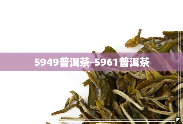 5949普洱茶-5961普洱茶