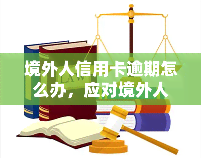 境外人信用卡逾期怎么办，应对境外人士信用卡逾期的策略与建议