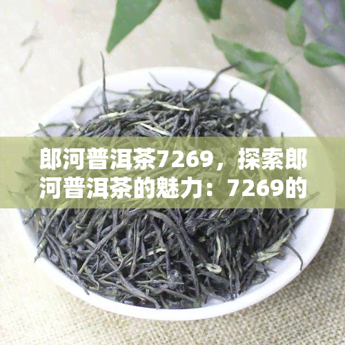 郎河普洱茶7269，探索郎河普洱茶的魅力：7269的传说与品尝体验