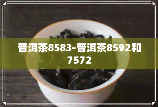 普洱茶8583-普洱茶8592和7572