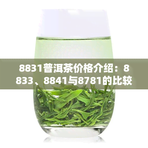 8831普洱茶价格介绍：8833、8841与8781的比较及相关信息
