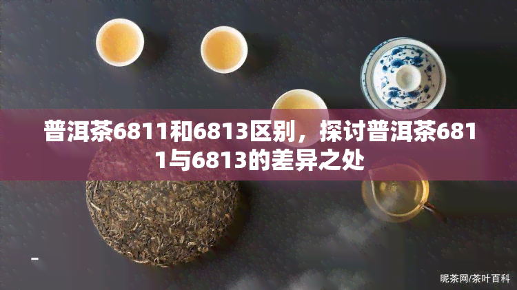 普洱茶6811和6813区别，探讨普洱茶6811与6813的差异之处