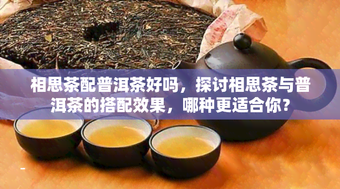 相思茶配普洱茶好吗，探讨相思茶与普洱茶的搭配效果，哪种更适合你？