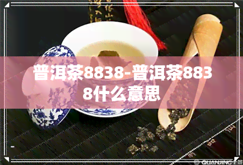 普洱茶8838-普洱茶8838什么意思