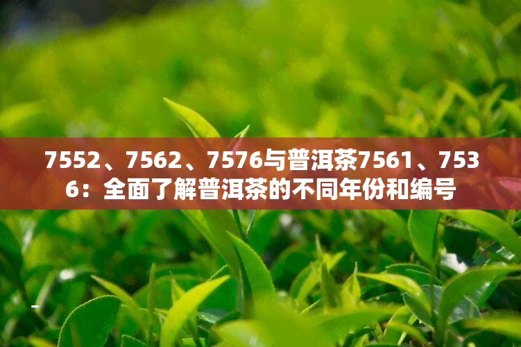 7552、7562、7576与普洱茶7561、7536：全面了解普洱茶的不同年份和编号