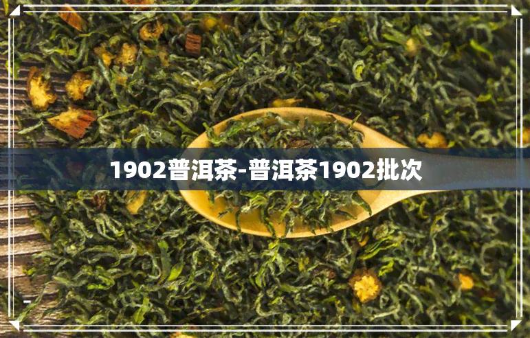 1902普洱茶-普洱茶1902批次