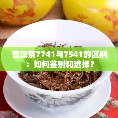 普洱茶7741与7541的区别：如何鉴别和选择？