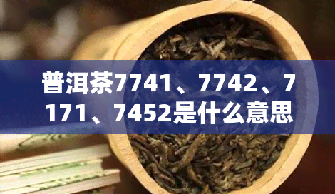 普洱茶7741、7742、7171、7452是什么意思？它们有何区别及特点？