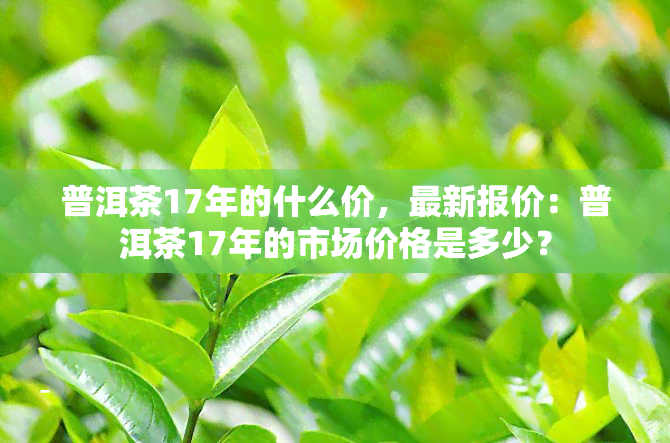 普洱茶17年的什么价，最新报价：普洱茶17年的市场价格是多少？