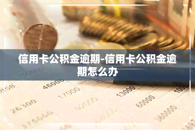 信用卡公积金逾期-信用卡公积金逾期怎么办