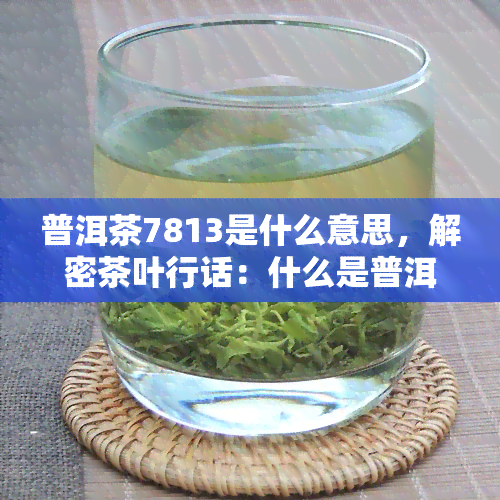 普洱茶7813是什么意思，解密茶叶行话：什么是普洱茶7813？