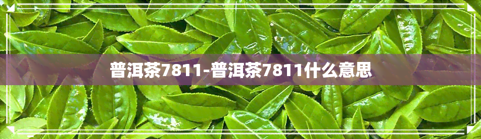 普洱茶7811-普洱茶7811什么意思