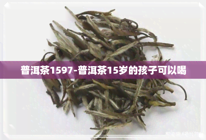 普洱茶1597-普洱茶15岁的孩子可以喝