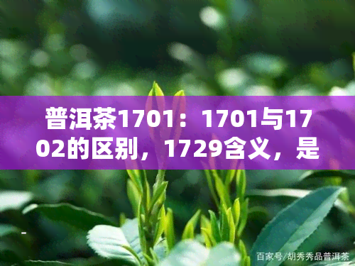 普洱茶1701：1701与1702的区别，1729含义，是否过期可饮用？价格多少？