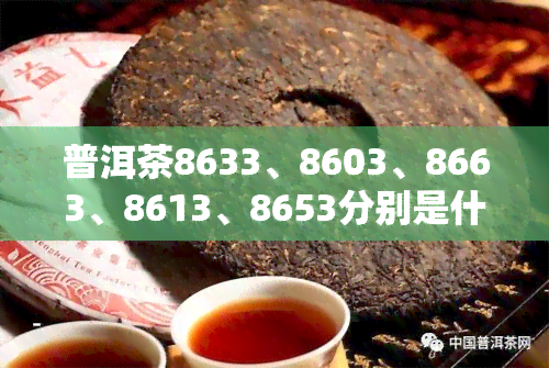 普洱茶8633、8603、8663、8613、8653分别是什么意思？有何区别？