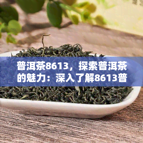 普洱茶8613，探索普洱茶的魅力：深入了解8613普洱茶的特点和品尝体验