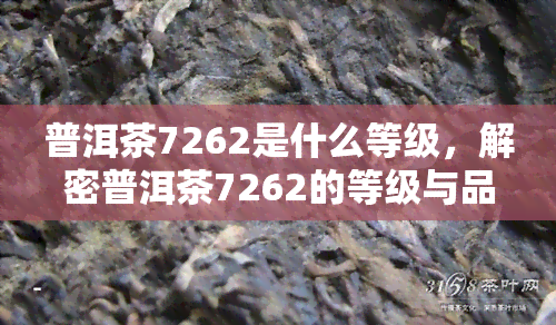 普洱茶7262是什么等级，解密普洱茶7262的等级与品质