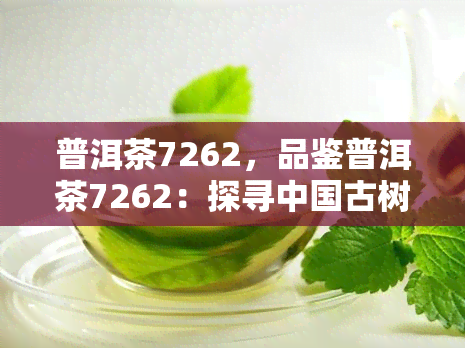 普洱茶7262，品鉴普洱茶7262：探寻中国古树茶的独特韵味