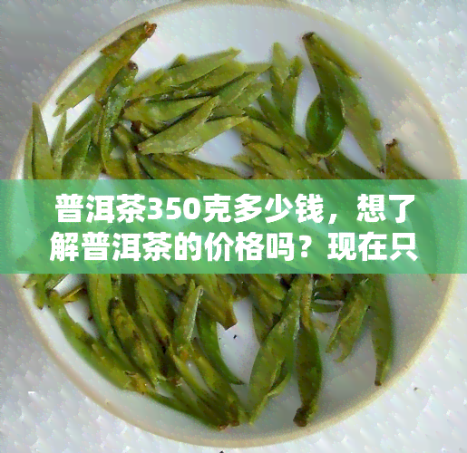 普洱茶350克多少钱，想了解普洱茶的价格吗？现在只需350克，快来了解一下！