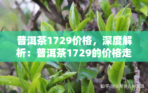 普洱茶1729价格，深度解析：普洱茶1729的价格走势与影响因素