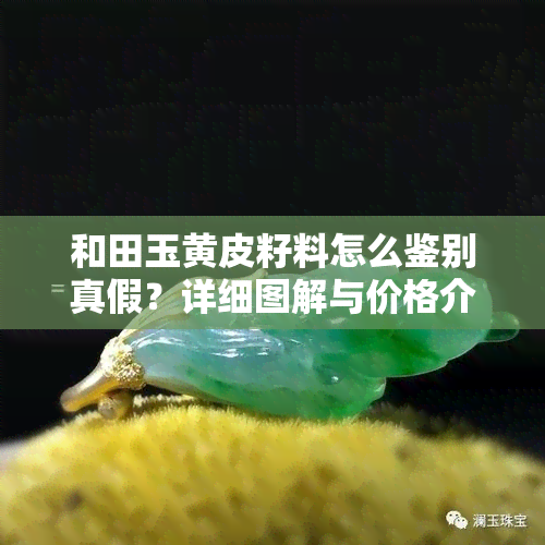 和田玉黄皮籽料怎么鉴别真假？详细图解与价格介绍！