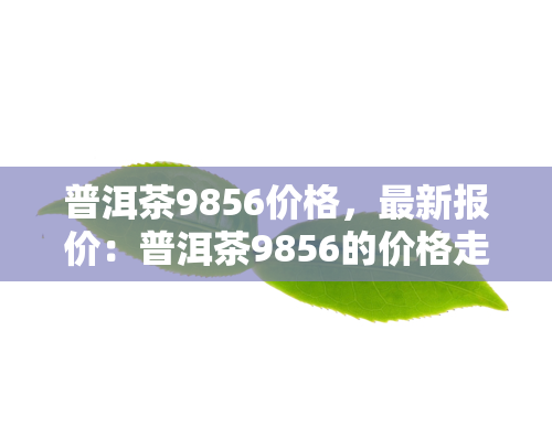 普洱茶9856价格，最新报价：普洱茶9856的价格走势及市场行情分析