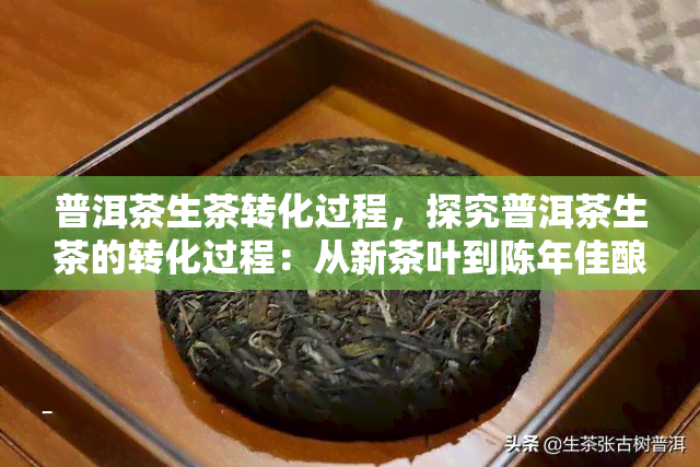 普洱茶生茶转化过程，探究普洱茶生茶的转化过程：从新茶叶到陈年佳酿