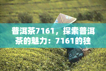 普洱茶7161，探索普洱茶的魅力：7161的独特之处